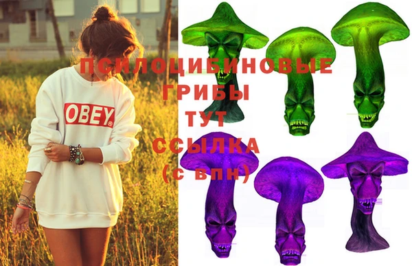дживик Кинешма