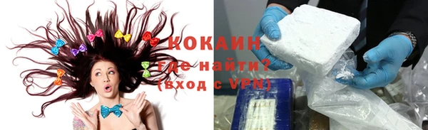 стафф Козловка