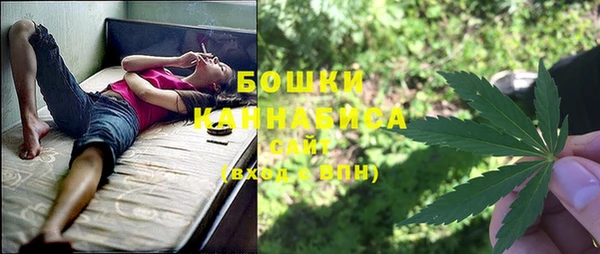 дживик Кинешма