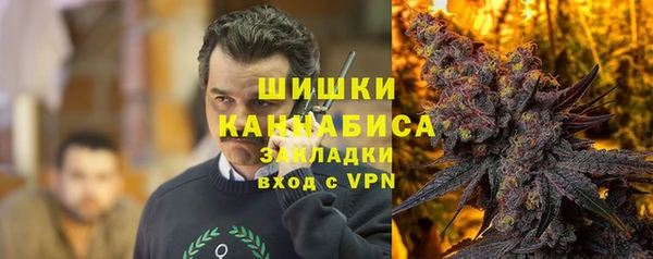 дживик Кинешма